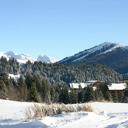 Cosy Au Praz De Lys, Centre, Proche Pistes - Fr-1-815-13 *